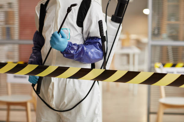 Professional Sewage Cleanup technician working in Matheson, CO