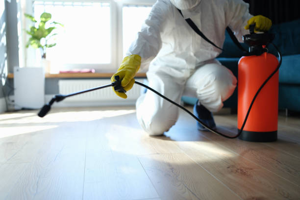 Reliable Sewage Cleanup contractor in Matheson, CO by Trauma Clean Pros